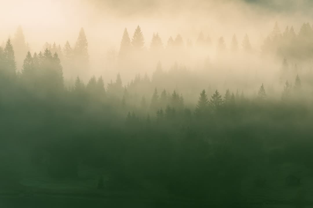 https://img1.utuku.imgcdc.com/585x0/news/20250905/3794c1bb-b399-4a74-bf25-f8b9f6993708.jpg